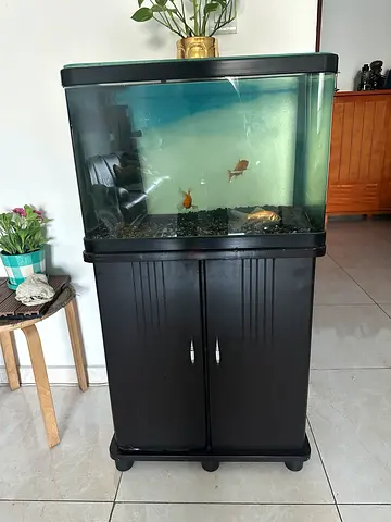 Used 100L Glass Fish Aquarium with Cabinet Stand Black walnut and including aquarium accessories