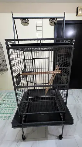 Unwanted New Open-Space Birds Cage For Sale