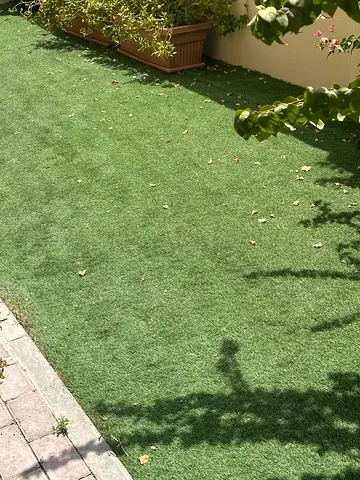 Artificial grass -free