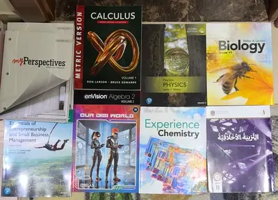 American Textbooks for Grade 11