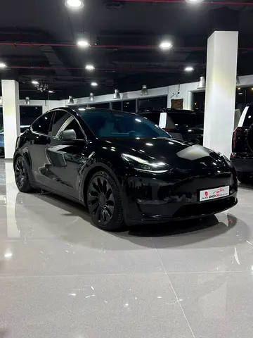 2023 Tesla MODEL Y — фото 2