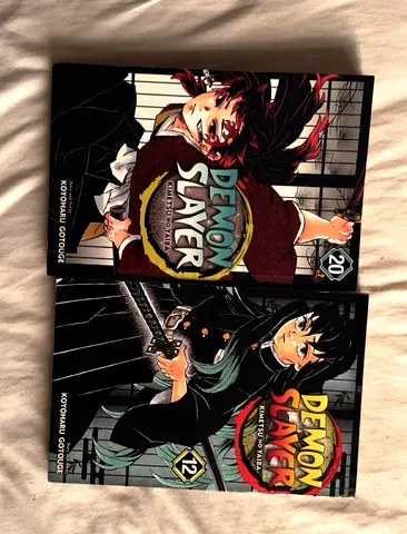 Demon slayer books for sale