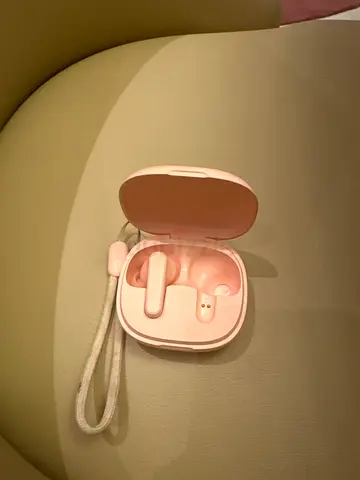 One pi20 earbud and case