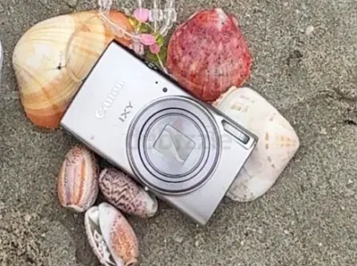 Compact Digital Camera IXY 650  (Silver)