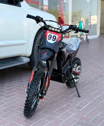 Dream 01 2026 e-bike electrical bike