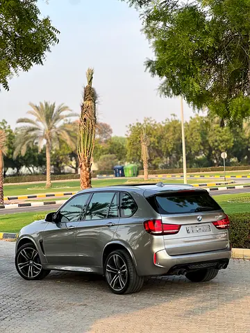 2015 BMW X5 — миниатюра 8