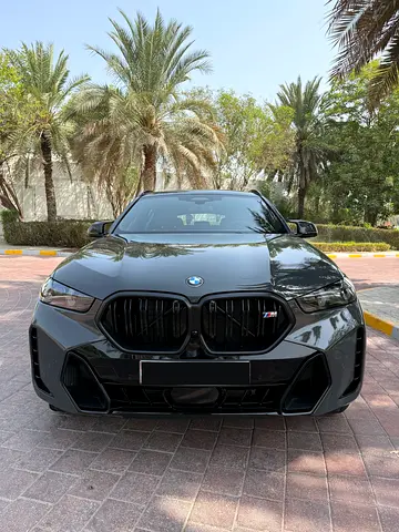 صورة مصغرة 2 لـ 2026 BMW X6