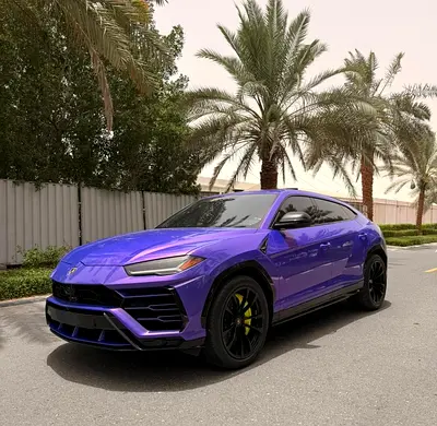 2021 Lamborghini URUS 照片 3