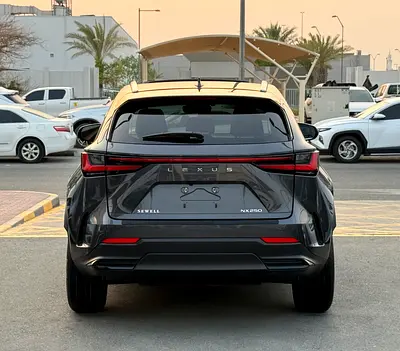 Lexus NX 250 Premium, миниатюра 6