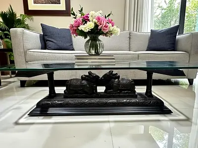 Nandi Bulls Coffee Table