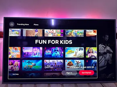 Television