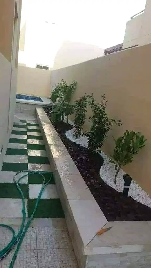 DPV_View_Image_1