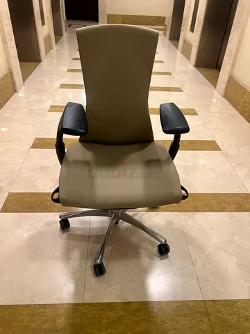 Herman miller embody