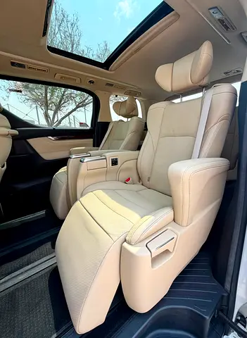 2019 Toyota ALPHARD 照片 15