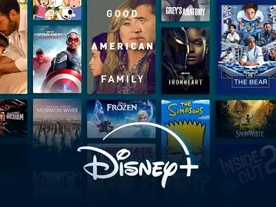 Disney Plus Subscription