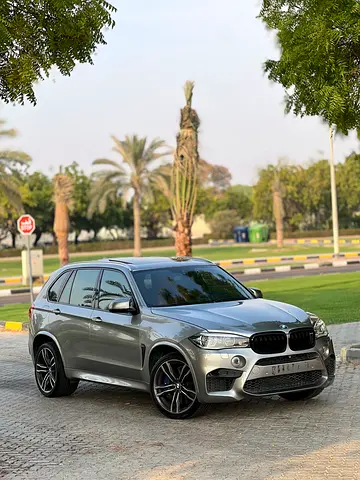 2015 BMW X5 — миниатюра 7