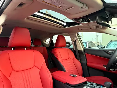 Lexus NX 250 Premium, миниатюра 12