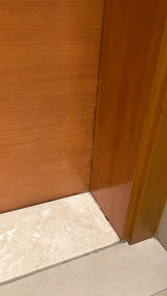 DPV_View_Image_2