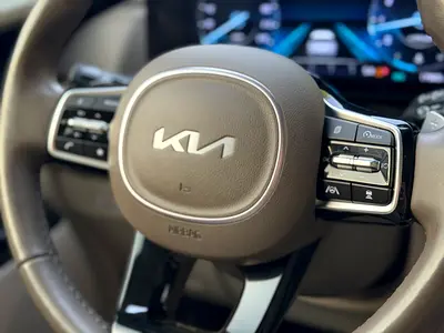 Kia Carnival EX, миниатюра 13