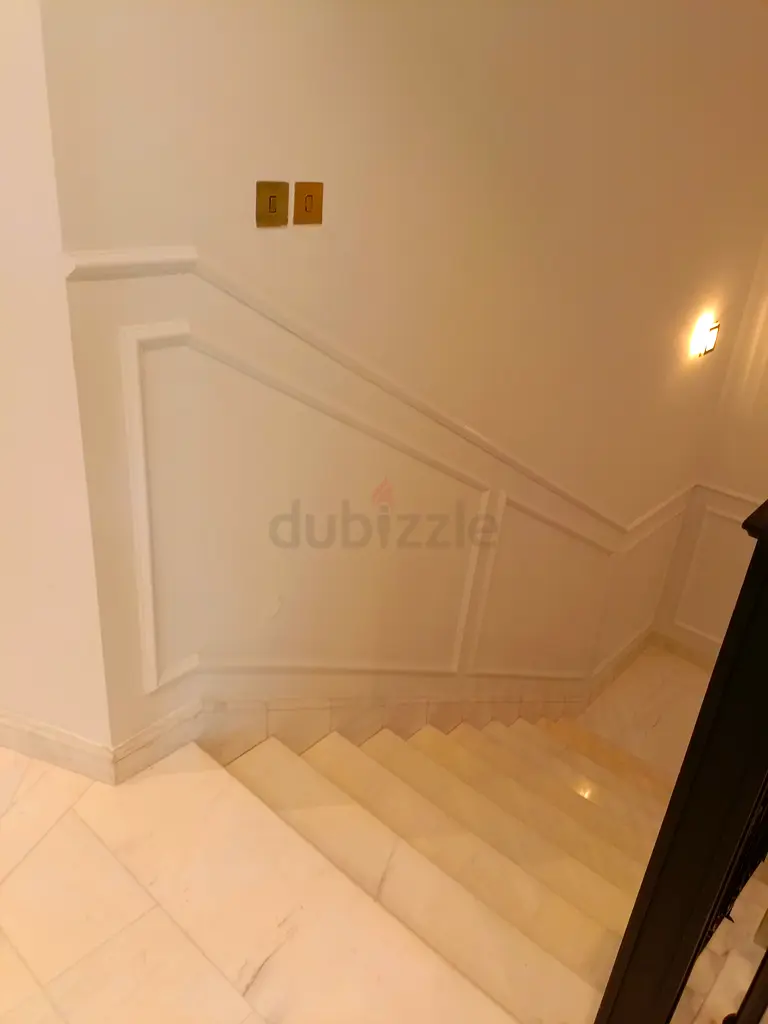 DPV_View_Image_2