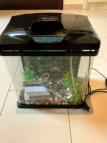 Used Small Aquarium Tank with Filter and Decorations