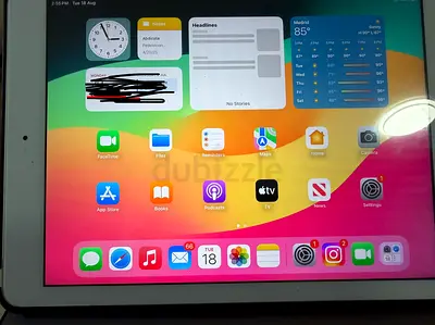 Apple iPad (working) - 9.7-inch display, Cellular model