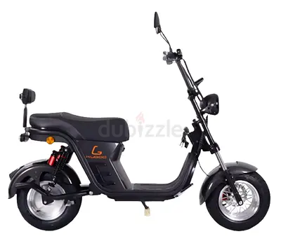 Kugoo Super Electric Scooter