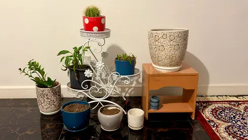 Vase