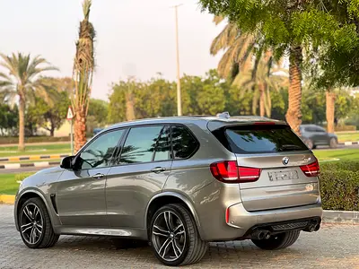 2015 BMW X5 — миниатюра 6