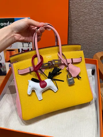 HERMES Women's Birkin Bag 25 cm Togo