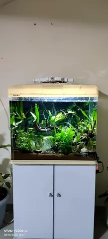 Fish aquarium for saleFish aquarium for sale 350 AED