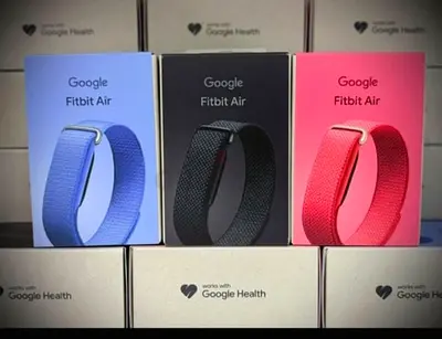 Google Fitbit Air replacement bands - new in box (multiple colors)