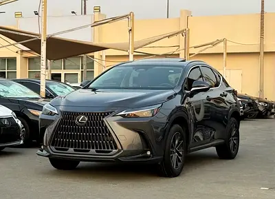 Lexus NX 250 Premium, миниатюра 3