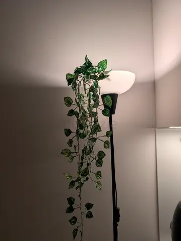 Ikea Tagarp Lamp with Bulb - Move Out Sale