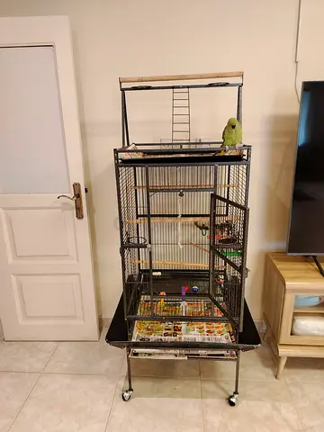 Large bird cage with play top and night cover included
