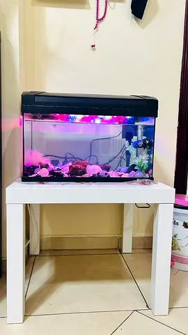 Used 40L Aquarium Tank with LED Light and Filter