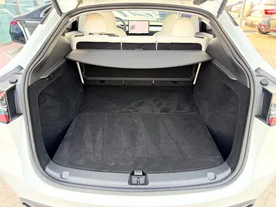 2024 Tesla MODEL Y 缩略图 14