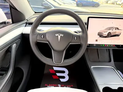2024 Tesla MODEL Y 缩略图 11