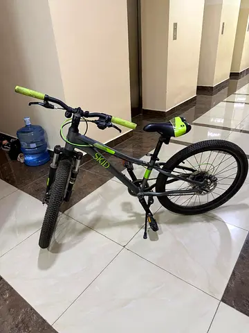Silverback Skid 24