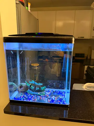 Small LED Aquarium Tank with Decorations and Filter — Ready to Use