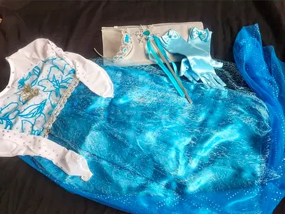 Frozen dress