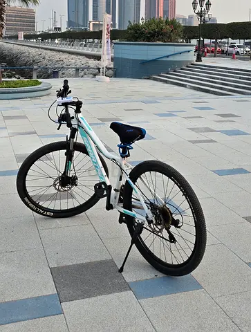 Spartan Mountain Bike in White and Teal