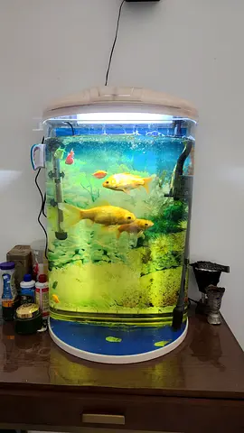 Curved Glass Fish Tank with Light and Filter