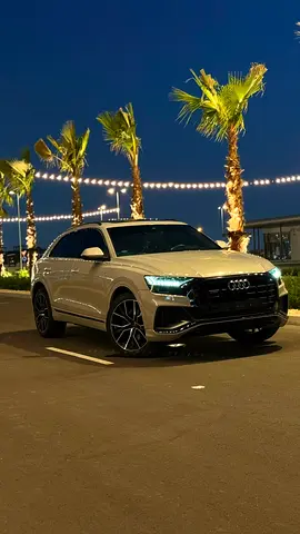 2022 AUDI Q8 缩略图 15