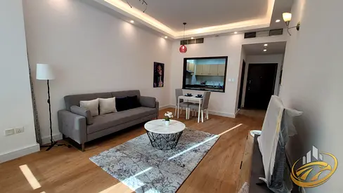 Fully Furnished 1BR | Flexible Cheques | Sevanam Crown | Downtown View | DSO Apartment