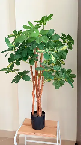 Fake plant