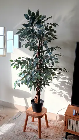 Fake tall plant