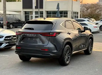 Lexus NX 250 Premium, миниатюра 4