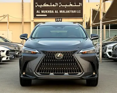 Lexus NX 250 Premium, миниатюра 2