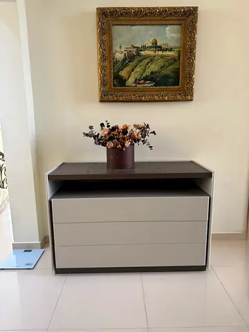 Italian MOLTENI and C 5050 Chest of 3 Drawers dresser in Eucalyptus/Silice finish L128 D54 H85 cm